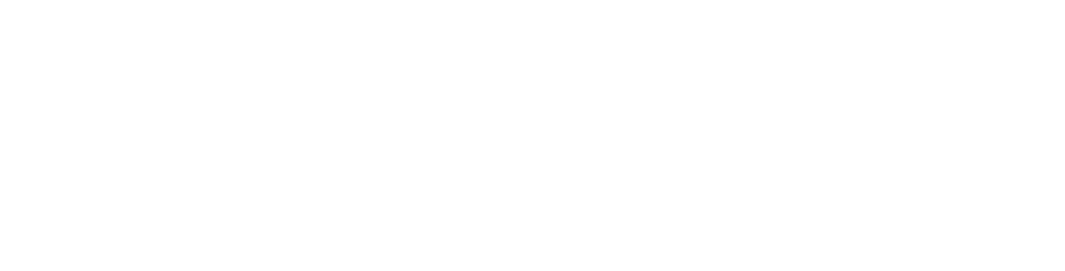 N-E-1-LG