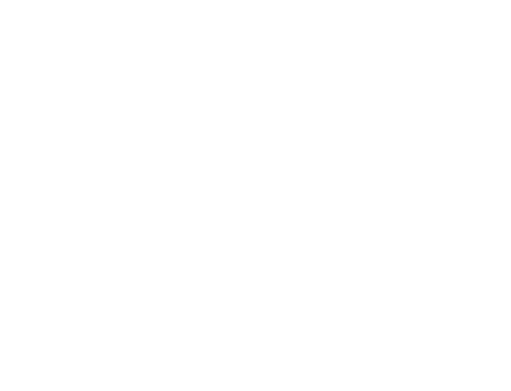 S1-V1-LG